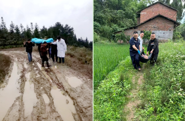 1767750456619096165.png image.png