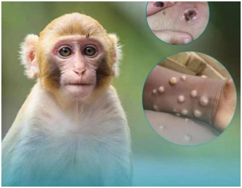 1725497519428052749.png image.png