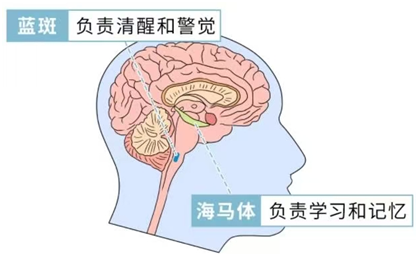 1725498013528061288.png image.png