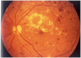 1725498212648006057.png image.png